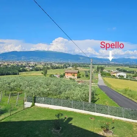 Delizioso Collinare *