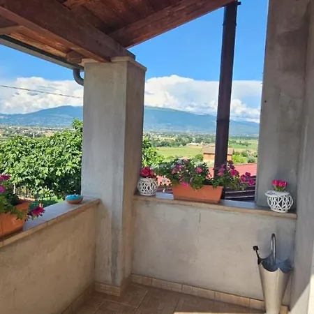 Delizioso Collinare Limigiano