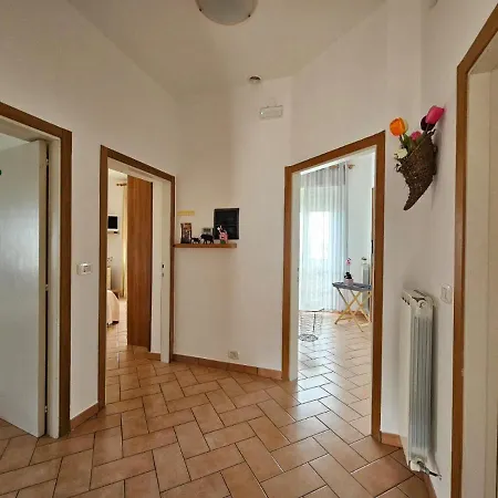 Delizioso Collinare Apartamento