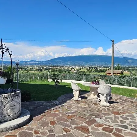 Delizioso Collinare Apartamento