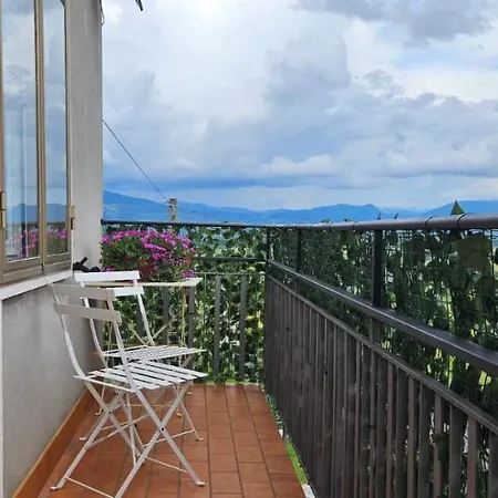 Delizioso Collinare Limigiano