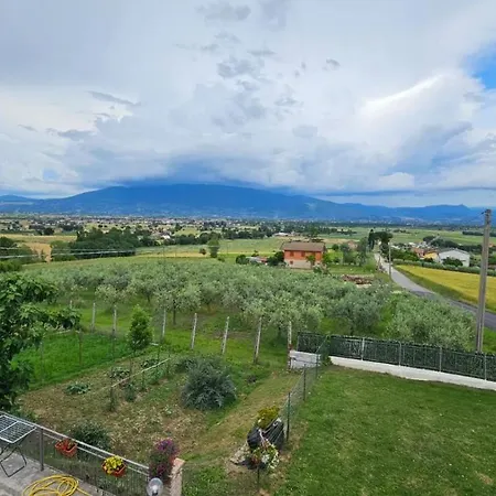 Delizioso Collinare Limigiano