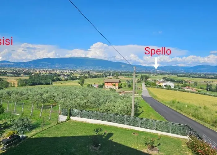 Delizioso Collinare *