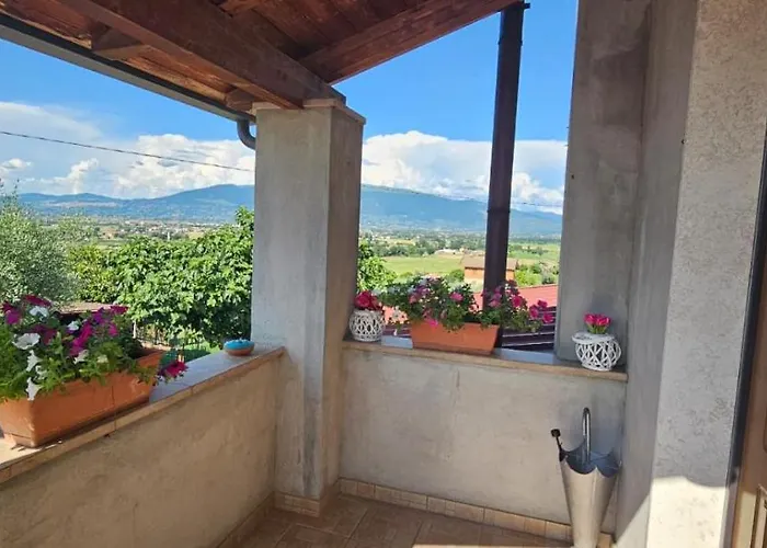 Delizioso Collinare Limigiano