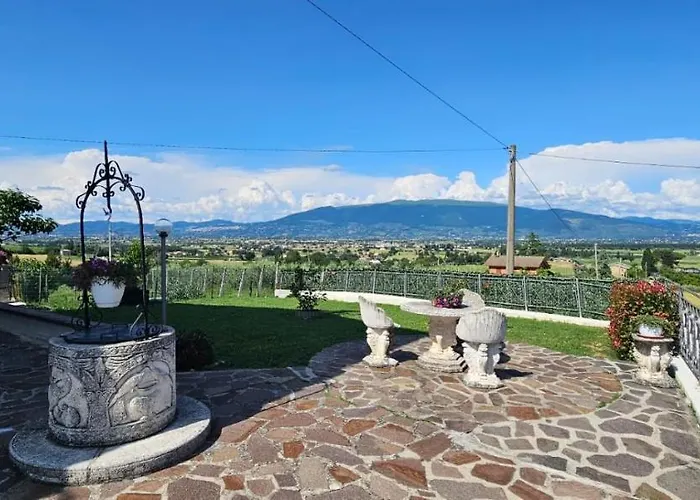 Delizioso Collinare Apartamento