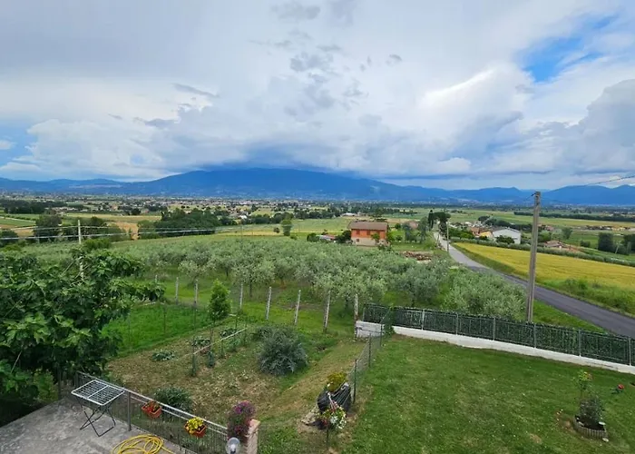 Delizioso Collinare Limigiano